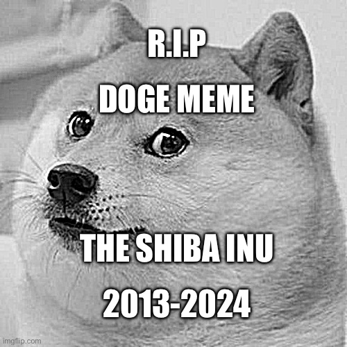 Doge | R.I.P; DOGE MEME; THE SHIBA INU; 2013-2024 | image tagged in memes,doge | made w/ Imgflip meme maker