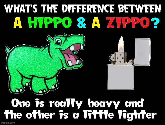 At Last We now nnow the Answer to this Perplexing Conundrum of Life | image tagged in vince vance,hippo,hippopotamus,zippo,lighter,riddle | made w/ Imgflip meme maker