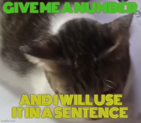 Numbers from 1 to 100 | GIVE ME A NUMBER; AND I WILL USE IT IN A SENTENCE | image tagged in ming mong | made w/ Imgflip meme maker