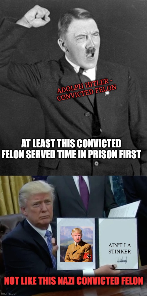Hitler wasn't afraid to serve in the military, but was also a  decorated war hero... unlike old Bonesspurs! | ADOLPH HITLER - 
CONVICTED FELON; AT LEAST THIS CONVICTED FELON SERVED TIME IN PRISON FIRST; AIN'T I A
STINKER; NOT LIKE THIS NAZI CONVICTED FELON | image tagged in angry hitler,memes,trump bill signing | made w/ Imgflip meme maker