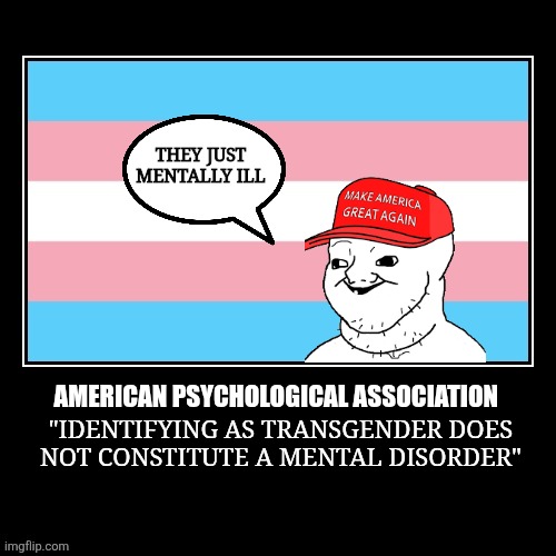 Lgbtq Psychology | THEY JUST MENTALLY ILL; AMERICAN PSYCHOLOGICAL ASSOCIATION; "IDENTIFYING AS TRANSGENDER DOES
NOT CONSTITUTE A MENTAL DISORDER" | image tagged in psychology,transgender,troll,bullies,mental illness | made w/ Imgflip meme maker