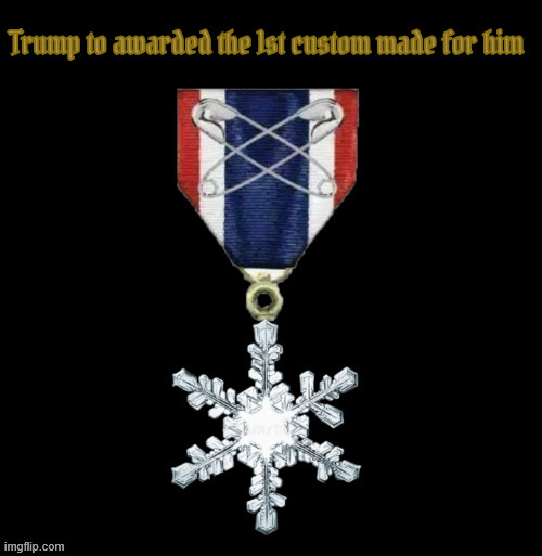 Trump to get the Melting Snowflake award | image tagged in maga medal,better than the nobell prize,trumptantum award,diaper don,trump to get the melting snowflake award | made w/ Imgflip meme maker