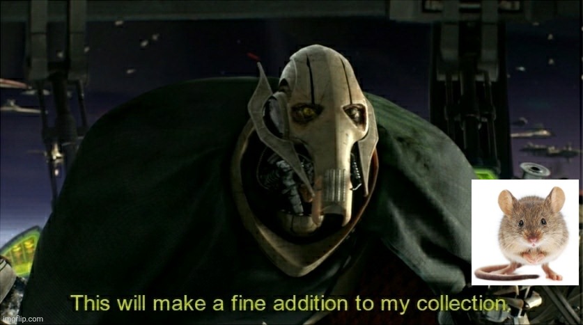 This will make a fine addition to my collection | image tagged in this will make a fine addition to my collection | made w/ Imgflip meme maker