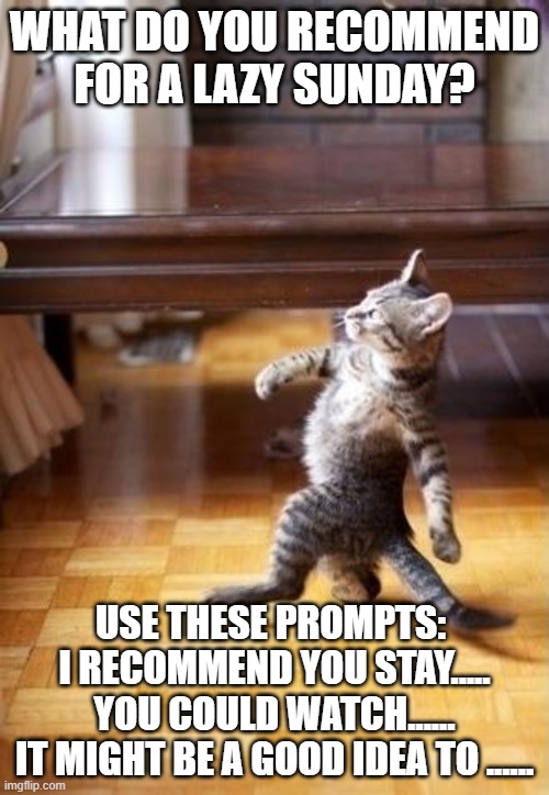 Lazy cat | WHAT DO YOU RECOMMEND FOR A LAZY SUNDAY? USE THESE PROMPTS: 
I RECOMMEND YOU STAY.....
YOU COULD WATCH......
IT MIGHT BE A GOOD IDEA TO ...... | image tagged in memes,cool cat stroll | made w/ Imgflip meme maker