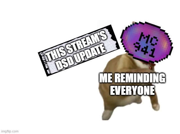 It should be 13 (I think, I dunno) | THIS STREAM'S DSD UPDATE; ME REMINDING EVERYONE | image tagged in throwing cat new | made w/ Imgflip meme maker