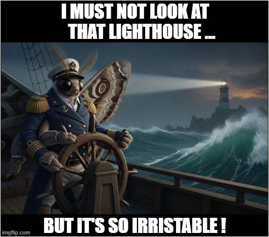 This Is Why So Very Few Moths Make It To The Rank Of Sea Captain ! | I MUST NOT LOOK AT
    THAT LIGHTHOUSE ... BUT IT'S SO IRRISTABLE ! | image tagged in moth,sea captain,lighthouse,ai meme | made w/ Imgflip meme maker