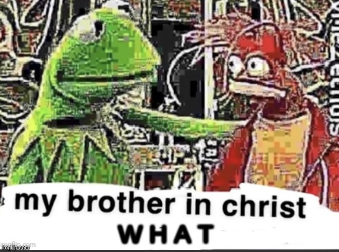my brother in christ | W H A T | image tagged in my brother in christ | made w/ Imgflip meme maker