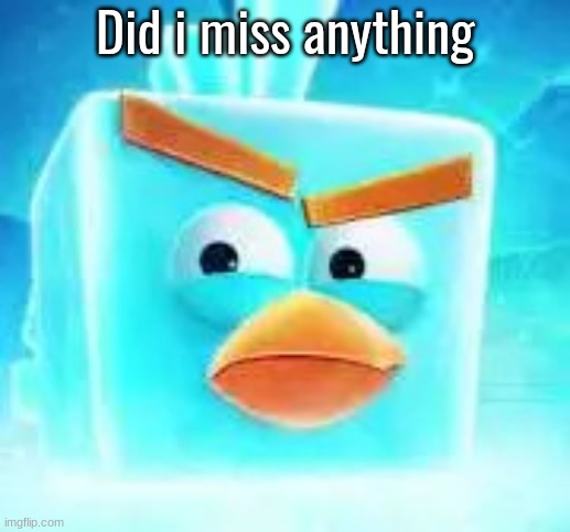 Ice bird | Did i miss anything | image tagged in ice bird | made w/ Imgflip meme maker