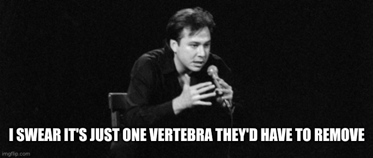 Bill Hicks | I SWEAR IT'S JUST ONE VERTEBRA THEY'D HAVE TO REMOVE | image tagged in bill hicks | made w/ Imgflip meme maker