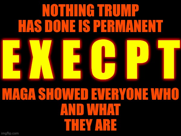 Read A History Book.  Tyrants NEVER Win The End Game.  NEVER | NOTHING TRUMP HAS DONE IS PERMANENT; E X E C P T; MAGA SHOWED EVERYONE WHO
AND WHAT
THEY ARE | image tagged in memes,maga,terrorists,nazis,tyranny,special kind of stupid | made w/ Imgflip meme maker
