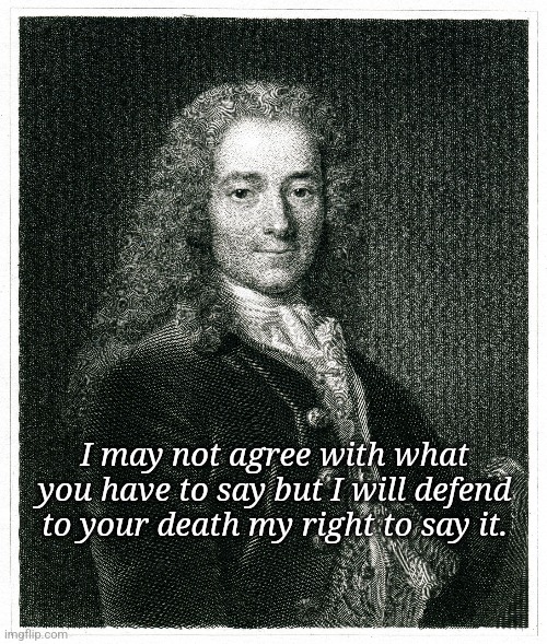 I may not agree with what you have to say but I will defend to your death my right to say it. | image tagged in free speech | made w/ Imgflip meme maker