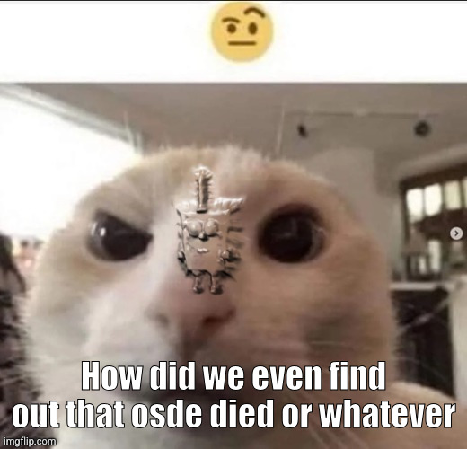 Raised eyebrow cat with spunch bop | How did we even find out that osde died or whatever | image tagged in raised eyebrow cat with spunch bop | made w/ Imgflip meme maker