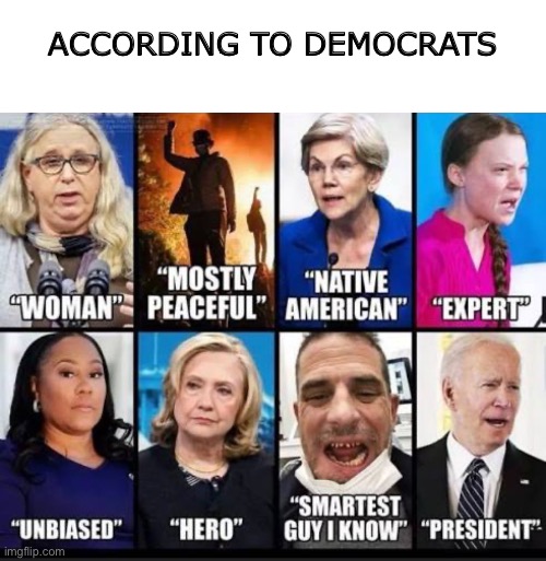 Labels made by democrats | ACCORDING TO DEMOCRATS | image tagged in liberal logic,stupid people be like | made w/ Imgflip meme maker