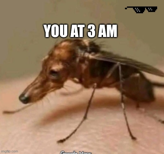idk | YOU AT 3 AM | image tagged in memes | made w/ Imgflip meme maker