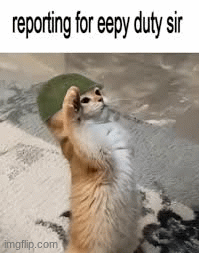 It says it right there | image tagged in gifs | made w/ Imgflip images-to-gif maker