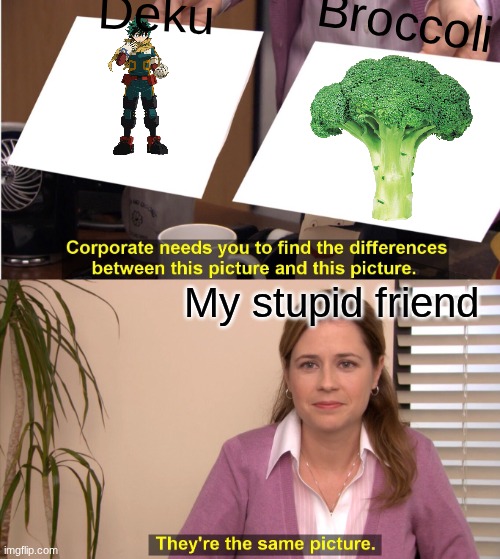 Same pics | Deku; Broccoli; My stupid friend | image tagged in memes,they're the same picture | made w/ Imgflip meme maker
