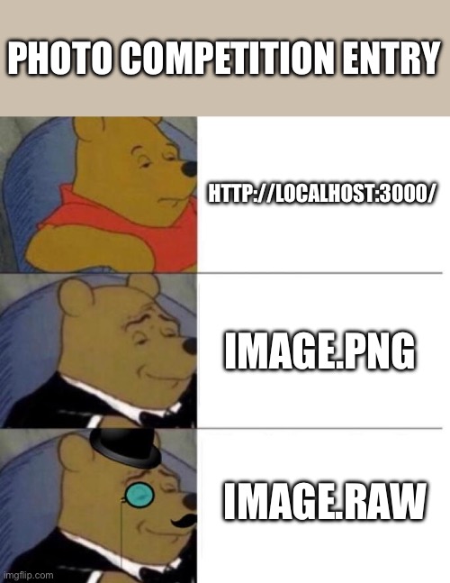 Photo competition entry | PHOTO COMPETITION ENTRY; HTTP://LOCALHOST:3000/; IMAGE.PNG; IMAGE.RAW | image tagged in tuxedo winnie the pooh 3 panel | made w/ Imgflip meme maker