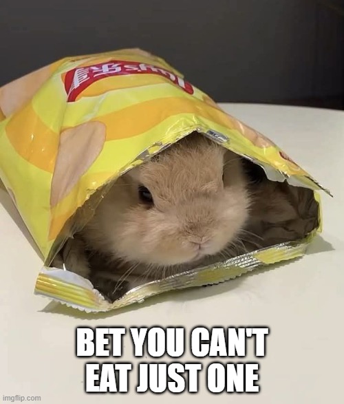 Lay's Bunny | BET YOU CAN'T EAT JUST ONE | image tagged in bunnies | made w/ Imgflip meme maker