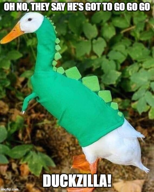 Duckzilla | OH NO, THEY SAY HE'S GOT TO GO GO GO; DUCKZILLA! | image tagged in ducks | made w/ Imgflip meme maker