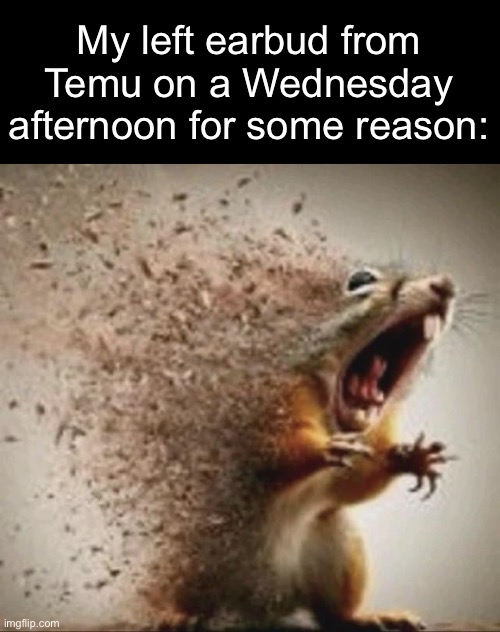Real story | My left earbud from Temu on a Wednesday afternoon for some reason: | image tagged in badass squirrel disintegrating,msmg | made w/ Imgflip meme maker