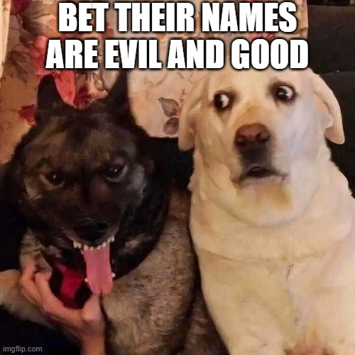 Doggo Names | BET THEIR NAMES ARE EVIL AND GOOD | image tagged in dogs | made w/ Imgflip meme maker