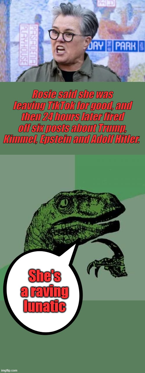 Rosie said she was leaving TikTok for good, and then 24 hours later fired off six posts about Trump, Kimmel, Epstein and Adolf Hitler. She's a raving lunatic | image tagged in memes,philosoraptor | made w/ Imgflip meme maker