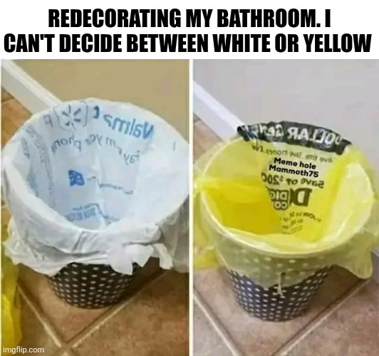 Redecorating My Bathroom I Can't Decide Between White Or Yellow | REDECORATING MY BATHROOM. I CAN'T DECIDE BETWEEN WHITE OR YELLOW | image tagged in chris joines | made w/ Imgflip meme maker