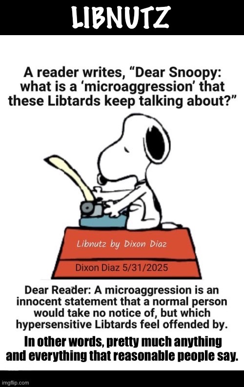 Libtards and Libnutz… | LIBNUTZ | image tagged in political meme,libnutz,snoopy,microaggression,reasonable people,libtards | made w/ Imgflip meme maker