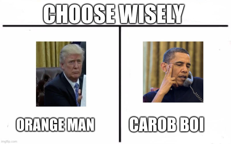 I’m team orange | CHOOSE WISELY; ORANGE MAN; CAROB BOI | image tagged in who would win blank,choose wisely,trump,obama | made w/ Imgflip meme maker
