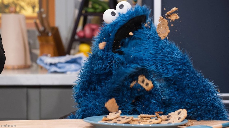 Cookie Monster's Every Monster Cookie | Rachael Ray Show | image tagged in cookie monster's every monster cookie rachael ray show | made w/ Imgflip meme maker