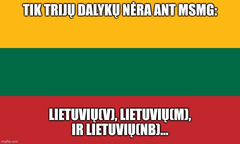 Heck, I myself am not Lithuanian | TIK TRIJŲ DALYKŲ NĖRA ANT MSMG:; LIETUVIŲ(V), LIETUVIŲ(M), IR LIETUVIŲ(NB)... | image tagged in lithuanian flag | made w/ Imgflip meme maker