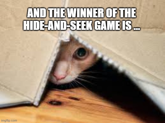 This cat always seems to win the hide-and-seek games. | AND THE WINNER OF THE HIDE-AND-SEEK GAME IS ... | image tagged in cats,funny,kittens,humor,hide and seek,games | made w/ Imgflip meme maker