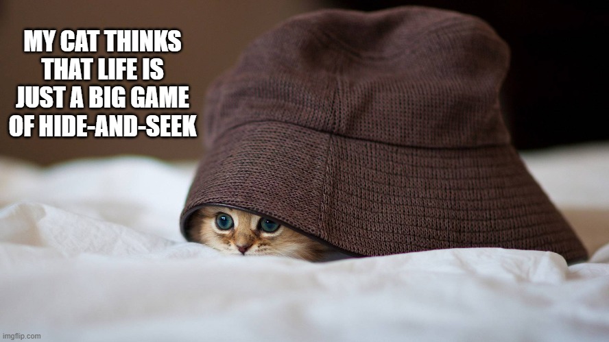 My cat thinks that life is just a big game of hide and seek. | MY CAT THINKS THAT LIFE IS JUST A BIG GAME OF HIDE-AND-SEEK | image tagged in cats,funny,kittens,humor,hide and seek,games | made w/ Imgflip meme maker