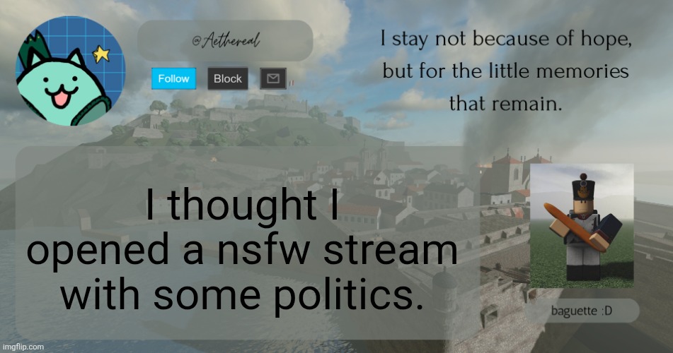 hey. | I thought I opened a nsfw stream with some politics. | image tagged in hey | made w/ Imgflip meme maker