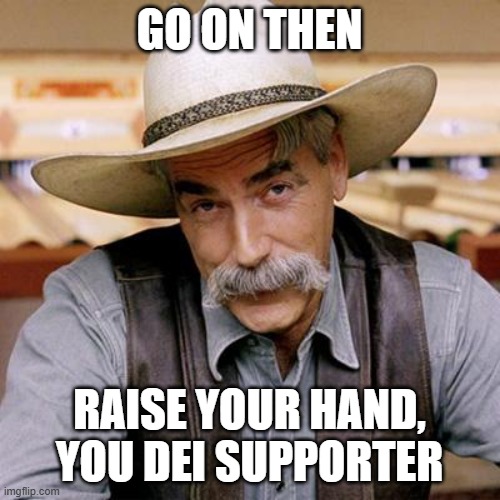 SARCASM COWBOY | GO ON THEN RAISE YOUR HAND, YOU DEI SUPPORTER | image tagged in sarcasm cowboy | made w/ Imgflip meme maker