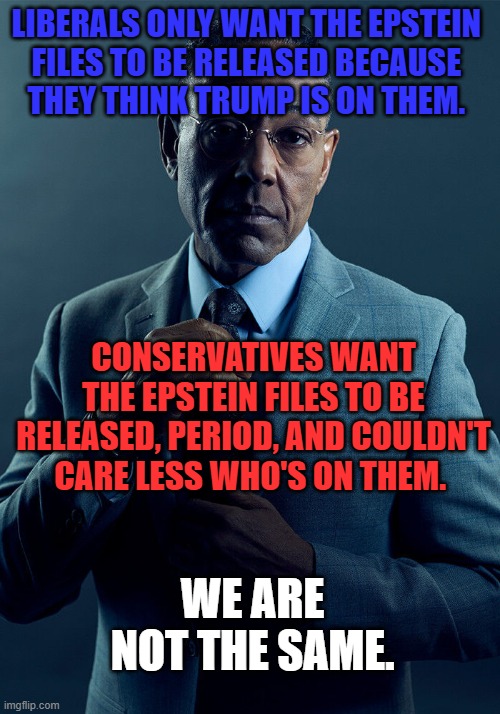 "TRRRRRUUUUMMMMMPPPPPP!!!!" vs. "Take them all down." Pick a side, folks. | LIBERALS ONLY WANT THE EPSTEIN 
FILES TO BE RELEASED BECAUSE 
THEY THINK TRUMP IS ON THEM. CONSERVATIVES WANT THE EPSTEIN FILES TO BE RELEASED, PERIOD, AND COULDN'T CARE LESS WHO'S ON THEM. WE ARE NOT THE SAME. | image tagged in gus fring we are not the same,jeffrey epstein,liberal vs conservative,trump derangement syndrome | made w/ Imgflip meme maker