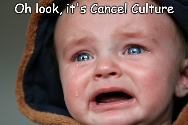 Cancel Culture | Oh look, it's Cancel Culture | image tagged in crying baby,cancel culture | made w/ Imgflip meme maker