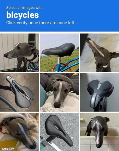Wunkcycle | image tagged in memes,shitpost,funny animals,wunkus | made w/ Imgflip meme maker