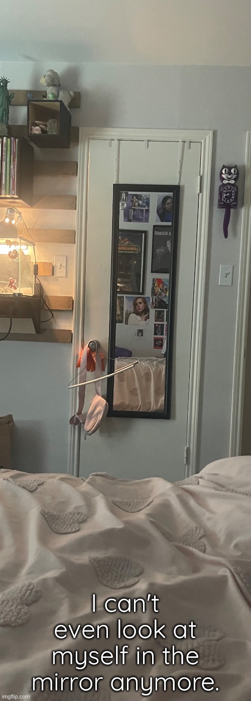 I can't even look at myself in the mirror anymore. | made w/ Imgflip meme maker