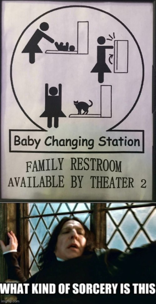 Baby turns into a cat... | image tagged in what kind of sorcery is this | made w/ Imgflip meme maker