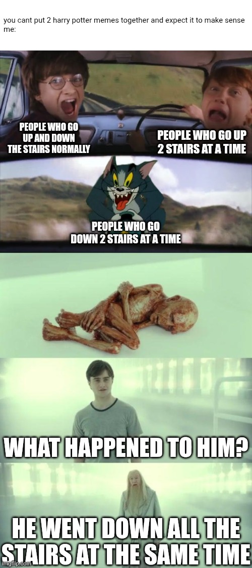 you cant put 2 harry potter memes together and expect it to make sense

me:; PEOPLE WHO GO UP
2 STAIRS AT A TIME; PEOPLE WHO GO UP AND DOWN THE STAIRS NORMALLY; PEOPLE WHO GO DOWN 2 STAIRS AT A TIME; WHAT HAPPENED TO HIM? HE WENT DOWN ALL THE STAIRS AT THE SAME TIME | image tagged in tom chasing harry and ron weasly,dead baby voldemort / what happened to him | made w/ Imgflip meme maker