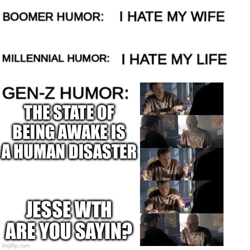 Stolen with pride from an actual gen Z | THE STATE OF BEING AWAKE IS A HUMAN DISASTER; JESSE WTH ARE YOU SAYIN? | image tagged in boomer humor millennial humor gen-z humor | made w/ Imgflip meme maker