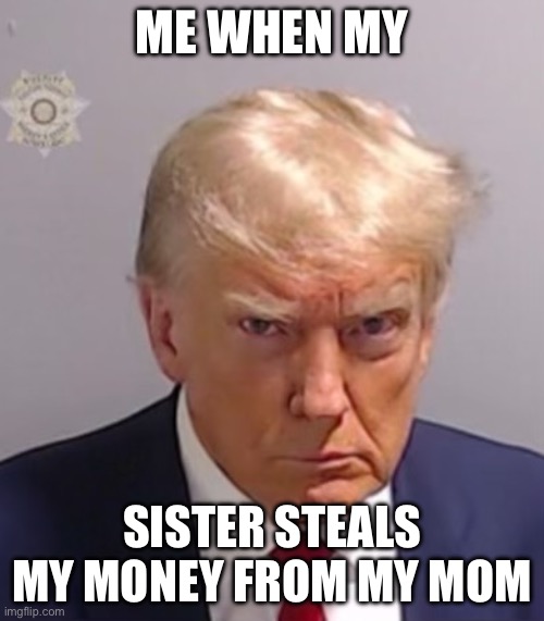 Donald Trump Mugshot | ME WHEN MY; SISTER STEALS MY MONEY FROM MY MOM | image tagged in donald trump mugshot | made w/ Imgflip meme maker