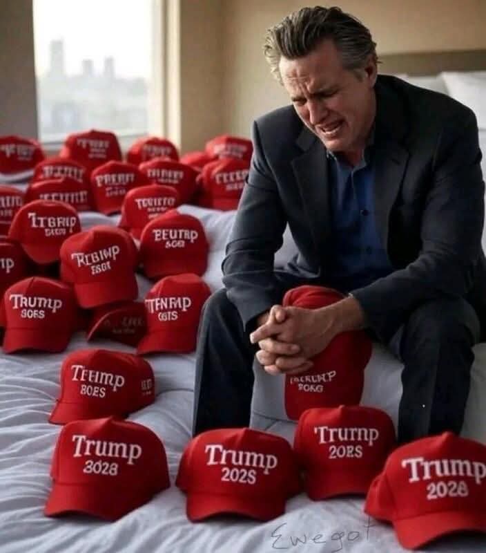 Gavin Newsom hat collection Blank Meme Template