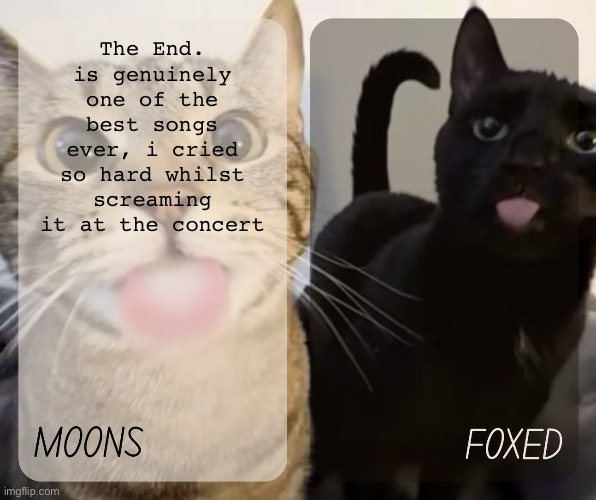 IF YOU LOOK IN THE MIRROR AND DONT LIKE WHATCHA SEE, YOU CAN FIND AT FIRST HAND WHAT ITS LIKE TO BE ME | The End. is genuinely one of the best songs ever, i cried so hard whilst screaming it at the concert | image tagged in moons and foxed kitty temp | made w/ Imgflip meme maker