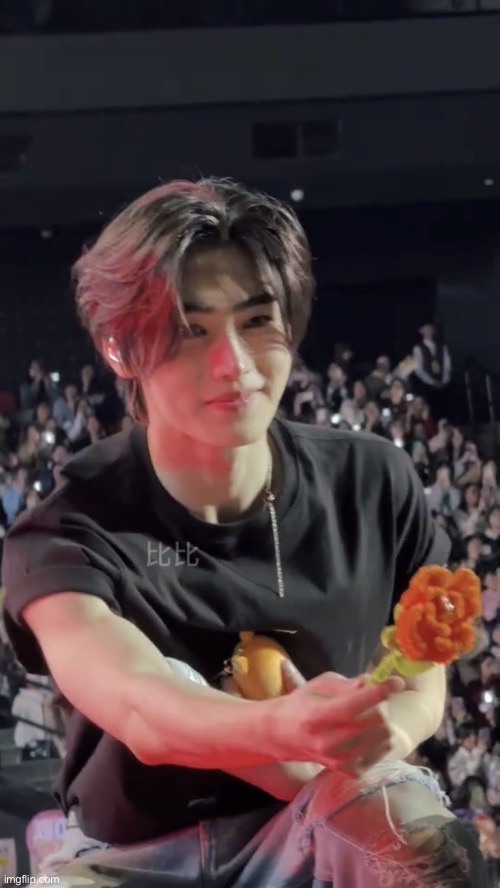sunghoon flower | image tagged in sunghoon flower | made w/ Imgflip meme maker