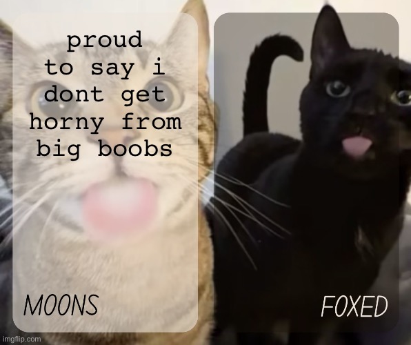 moons and foxed kitty temp | proud to say i dont get horny from big boobs | image tagged in moons and foxed kitty temp | made w/ Imgflip meme maker