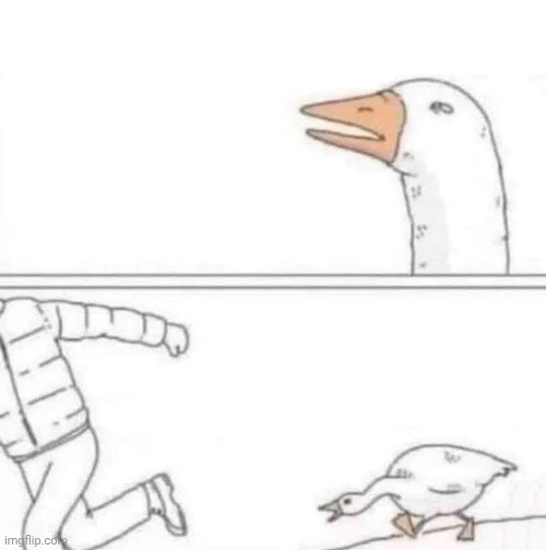 Goose Chase | image tagged in goose chase | made w/ Imgflip meme maker