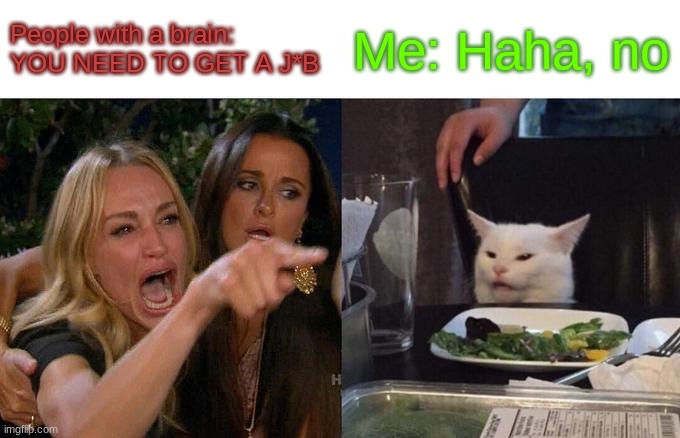J*b | People with a brain: YOU NEED TO GET A J*B; Me: Haha, no | image tagged in memes,woman yelling at cat,job | made w/ Imgflip meme maker