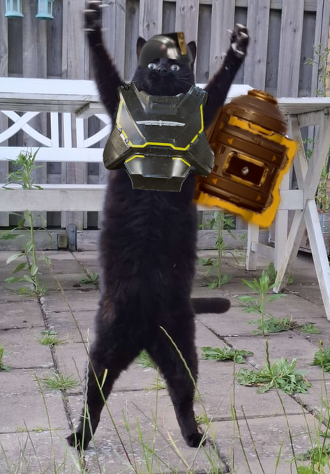 helldiver cat Blank Meme Template